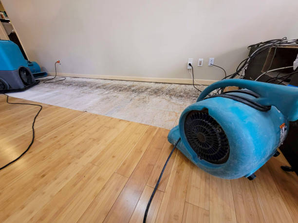 Professional Water Extraction technician working in Sedalia, CO